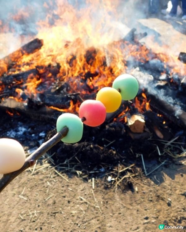 🇯🇵🧐新年點解會擺放門松？🎍