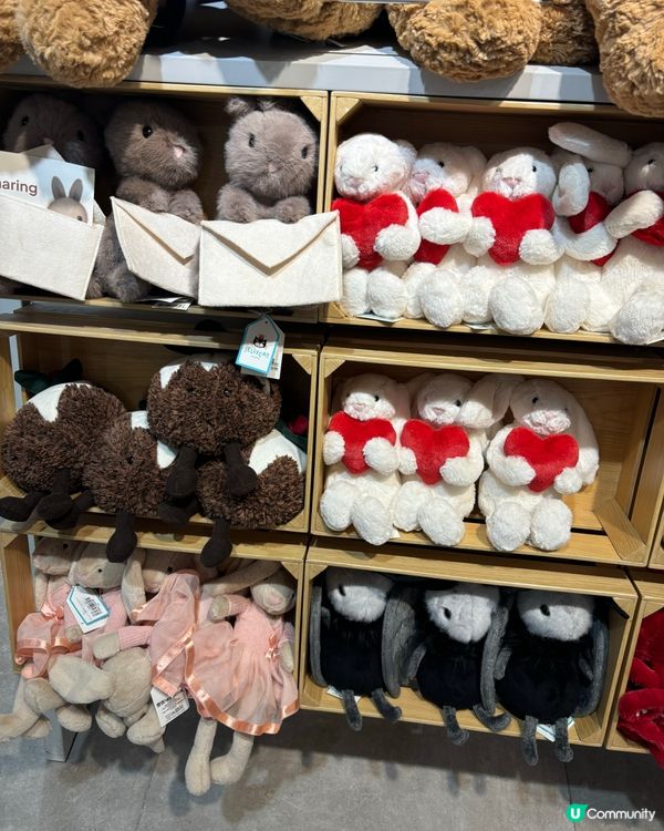 深圳jellycat❤️🫶🏻🤩