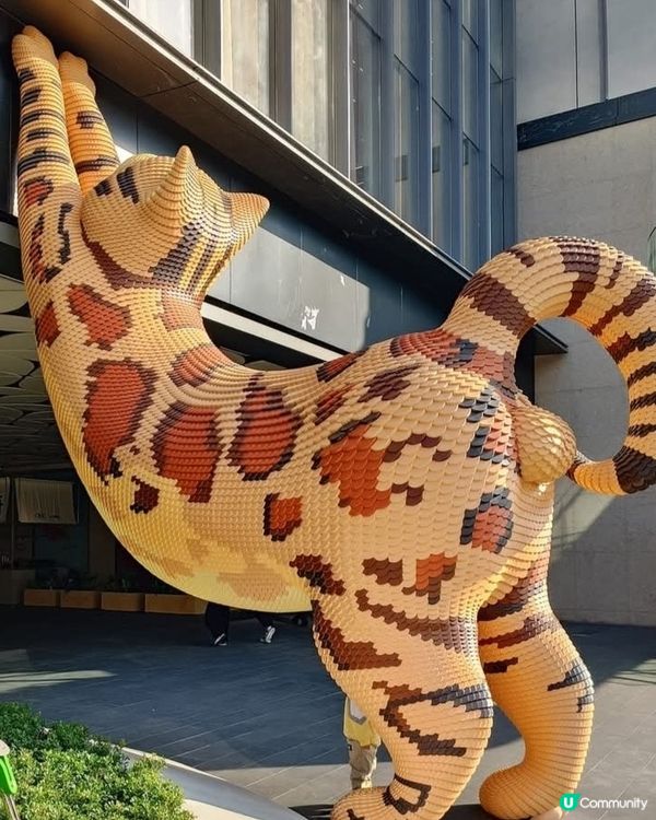 坂田廣場行街👍🏻