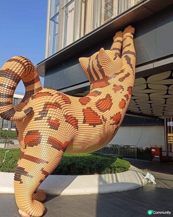 坂田廣場行街👍🏻