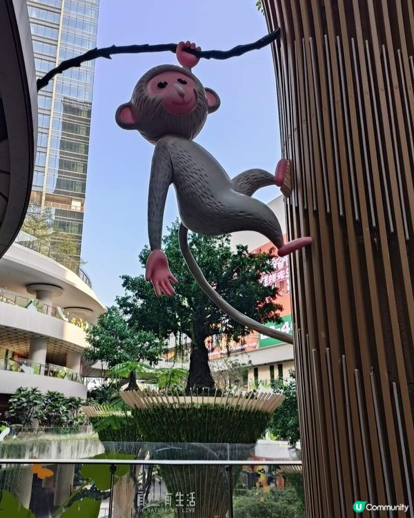 坂田廣場行街👍🏻