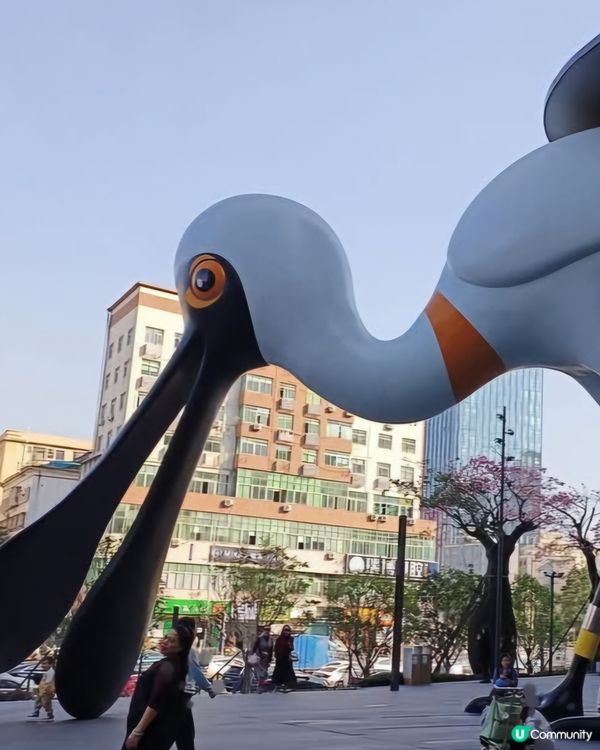 坂田廣場行街👍🏻