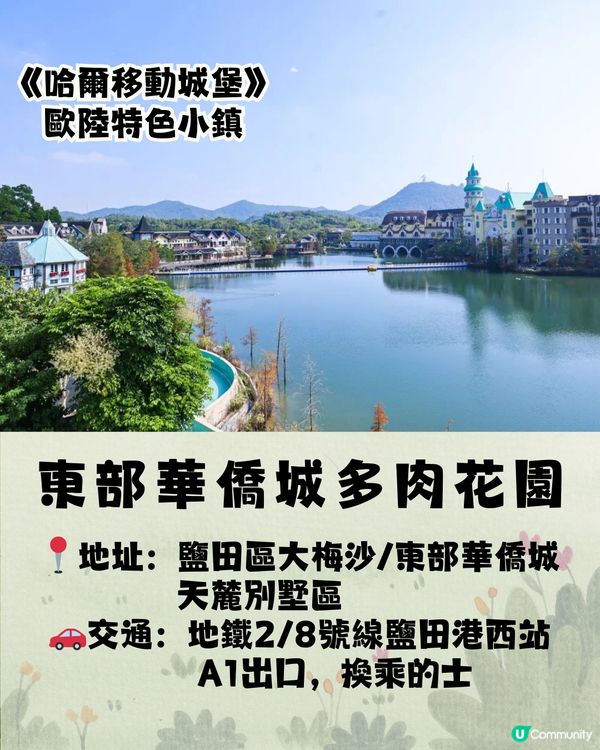 深圳宮崎駿電影風公園5大推介🌲《龍貓》森林/《哈爾移動城堡》歐陸小鎮‼️附地址+交通教學🚗