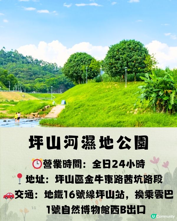 深圳宮崎駿電影風公園5大推介🌲《龍貓》森林/《哈爾移動城堡》歐陸小鎮‼️附地址+交通教學🚗