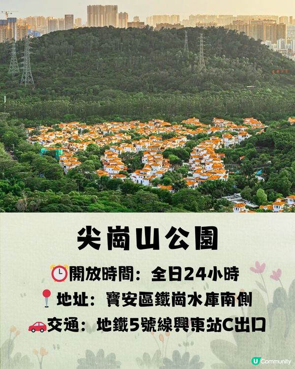 深圳宮崎駿電影風公園5大推介🌲《龍貓》森林/《哈爾移動城堡》歐陸小鎮‼️附地址+交通教學🚗