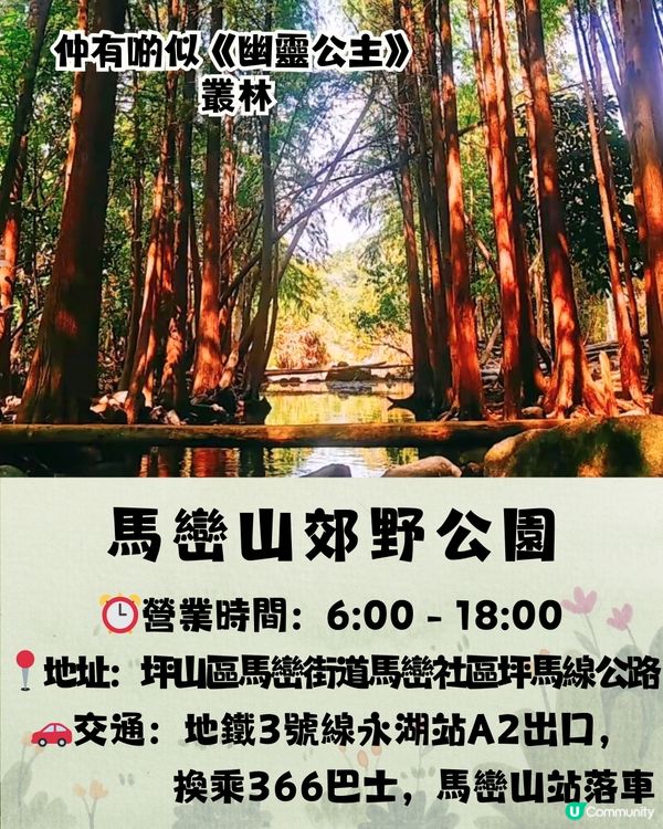 深圳宮崎駿電影風公園5大推介🌲《龍貓》森林/《哈爾移動城堡》歐陸小鎮‼️附地址+交通教學🚗
