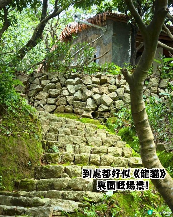 深圳宮崎駿電影風公園5大推介🌲《龍貓》森林/《哈爾移動城堡》歐陸小鎮‼️附地址+交通教學🚗