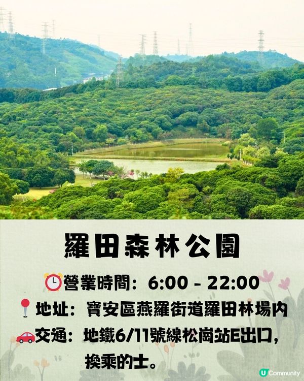 深圳宮崎駿電影風公園5大推介🌲《龍貓》森林/《哈爾移動城堡》歐陸小鎮‼️附地址+交通教學🚗