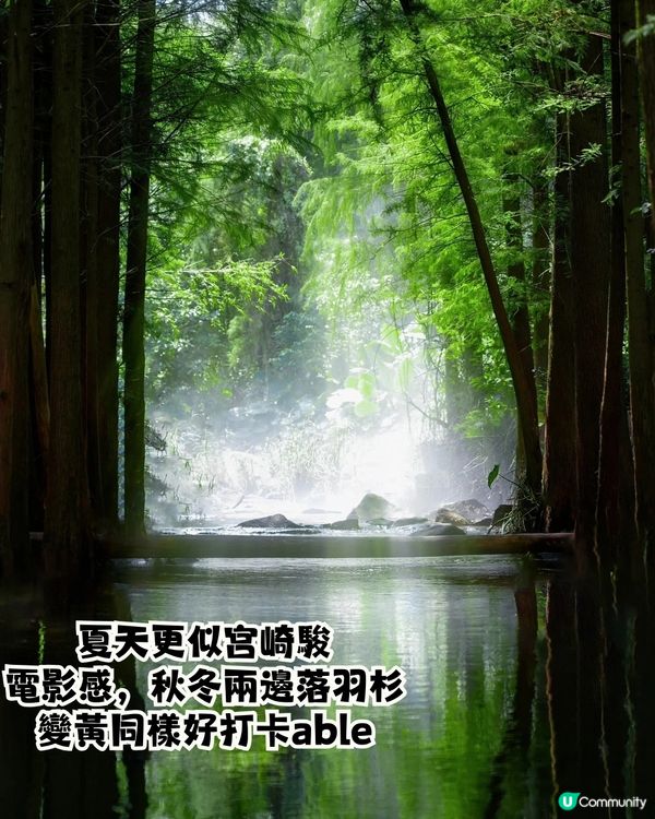 深圳宮崎駿電影風公園5大推介🌲《龍貓》森林/《哈爾移動城堡》歐陸小鎮‼️附地址+交通教學🚗