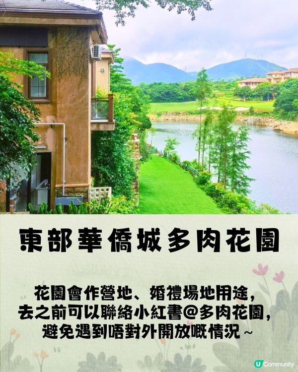 深圳宮崎駿電影風公園5大推介🌲《龍貓》森林/《哈爾移動城堡》歐陸小鎮‼️附地址+交通教學🚗