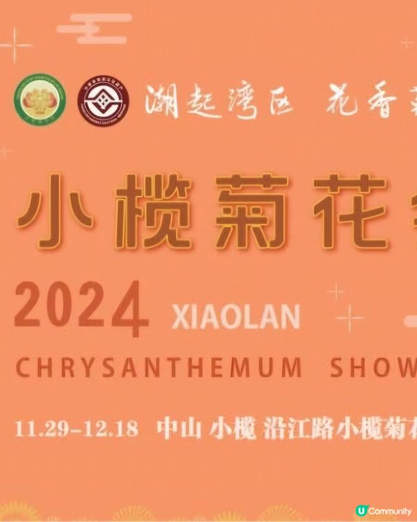 欣賞小榄菊花😍