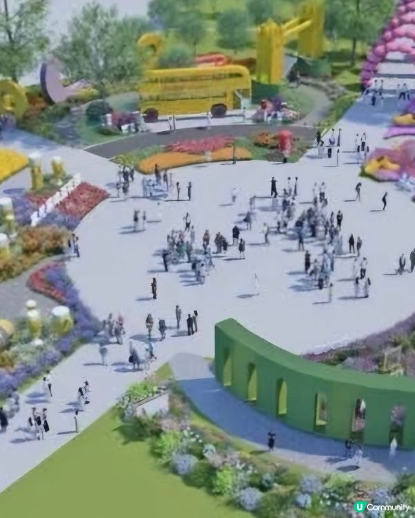 欣賞小榄菊花😍