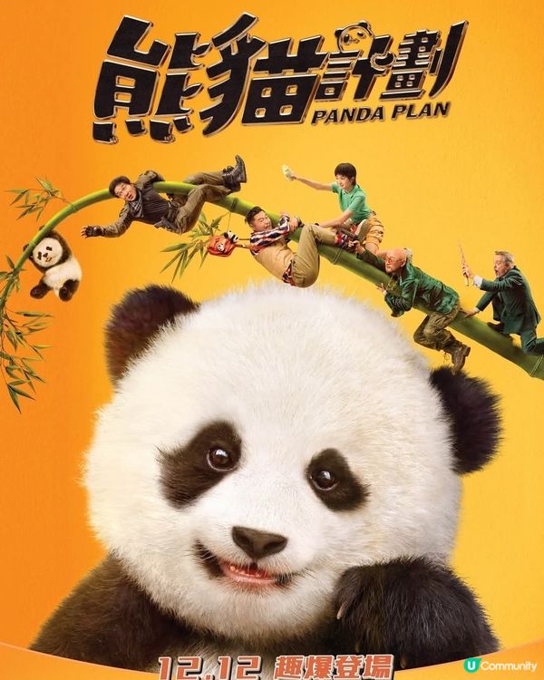 海洋公園聯乘電影《熊貓計劃》推優惠