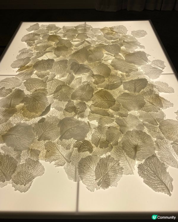 2024創意設計展真係好多亮點🫶