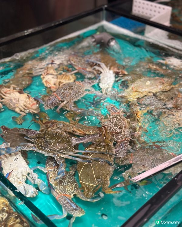 即撈生猛海鮮火鍋放題🔥