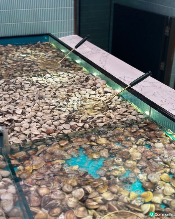 即撈生猛海鮮火鍋放題🔥