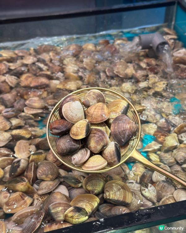 即撈生猛海鮮火鍋放題🔥