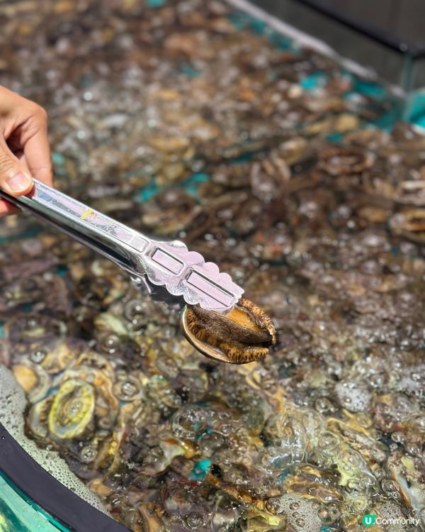 即撈生猛海鮮火鍋放題🔥