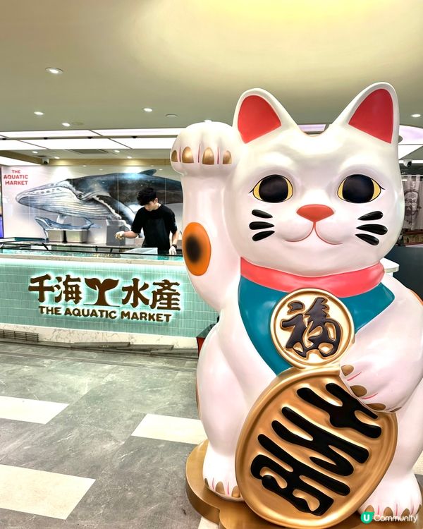 即撈生猛海鮮火鍋放題🔥