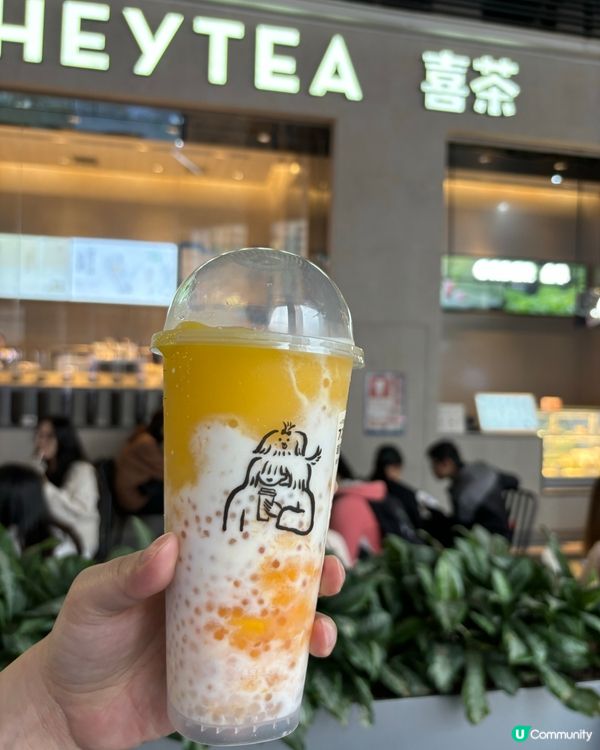 喜茶超多肉芒芒