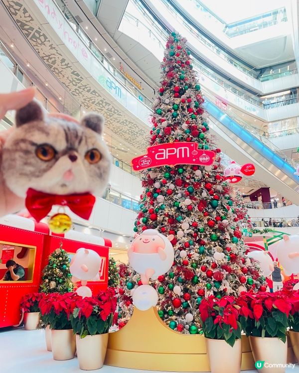 🎄apm暖羊羊聖誕夢想站🎄