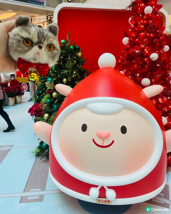 🎄apm暖羊羊聖誕夢想站🎄