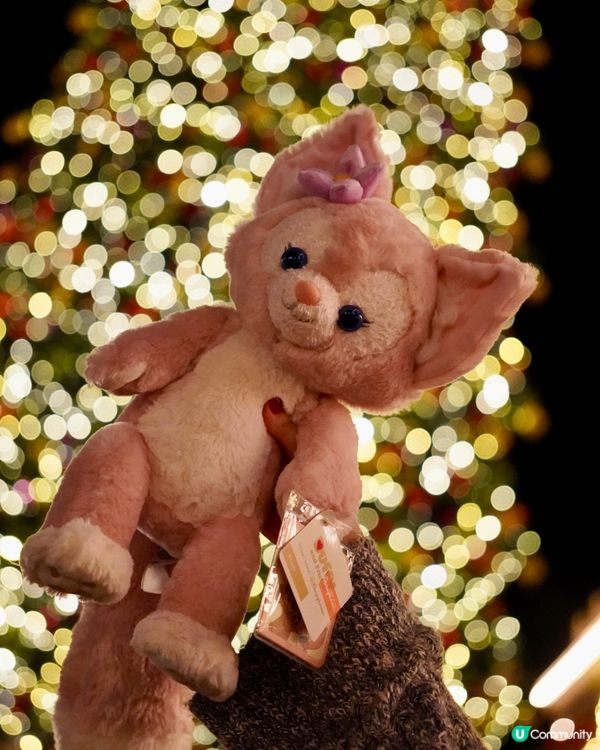 迪士尼聖誕🎄 夢幻登場！🤩