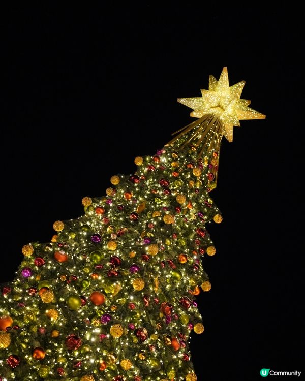 迪士尼聖誕🎄 夢幻登場！🤩