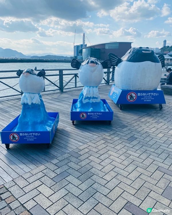 山口縣➡️唐戶市場