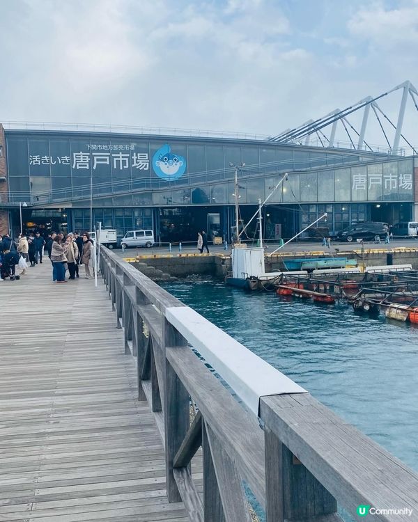 山口縣➡️唐戶市場