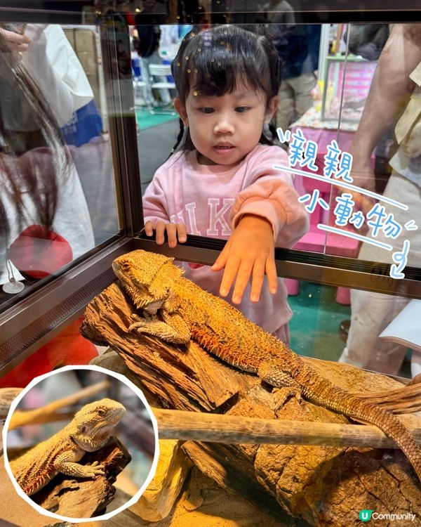 最後今日！兒童書展暨超級親子用品展 優惠放送💖