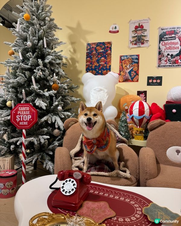 聖誕小狗蛋糕店～