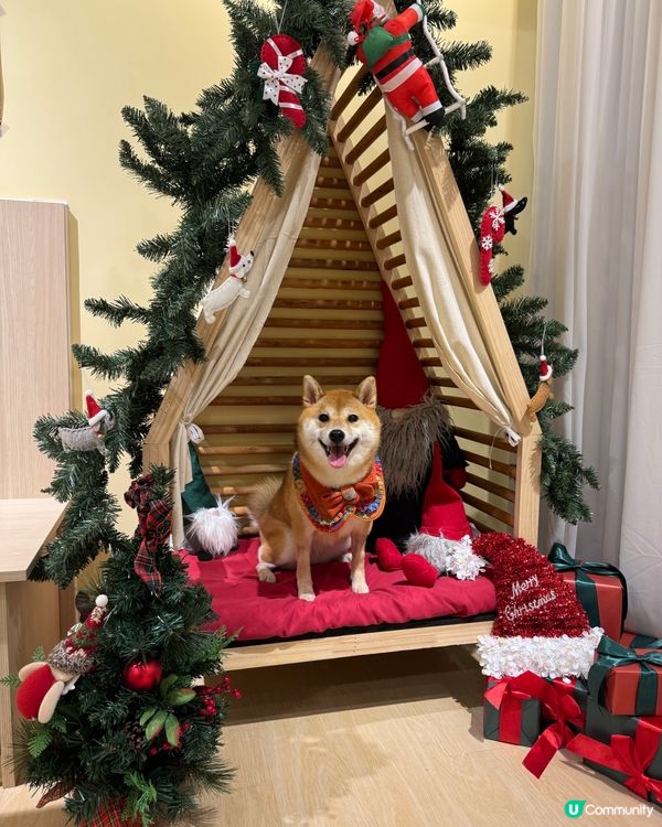 聖誕小狗蛋糕店～