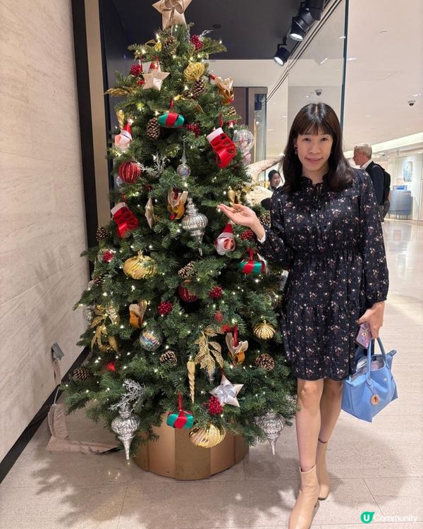 《精緻亮點 : 聖誕樹之吊飾 🔮❄⛄》