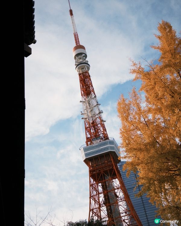下著銀杏雨的東京街頭