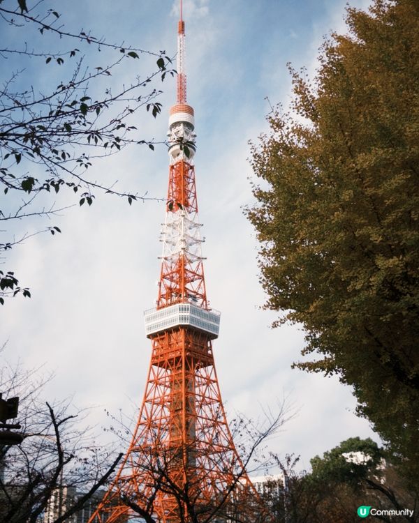 下著銀杏雨的東京街頭