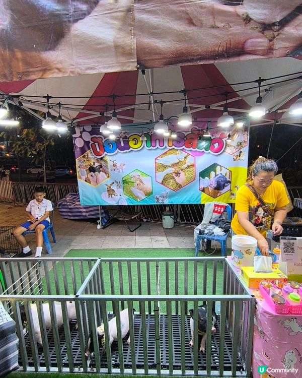 尚泰清邁購物中心戶外嘉年華