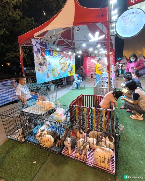 尚泰清邁購物中心戶外嘉年華