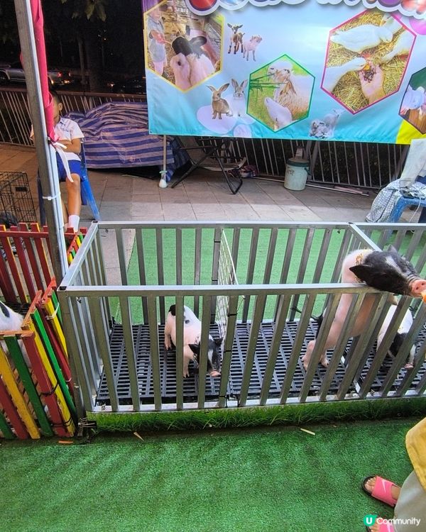 尚泰清邁購物中心戶外嘉年華