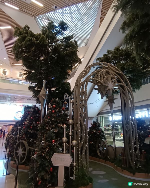 聖誕樹林🎄🎄🎄