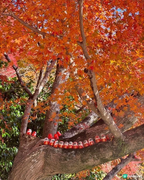 大阪近郊紅葉照點 - 勝尾寺🍁⛩️