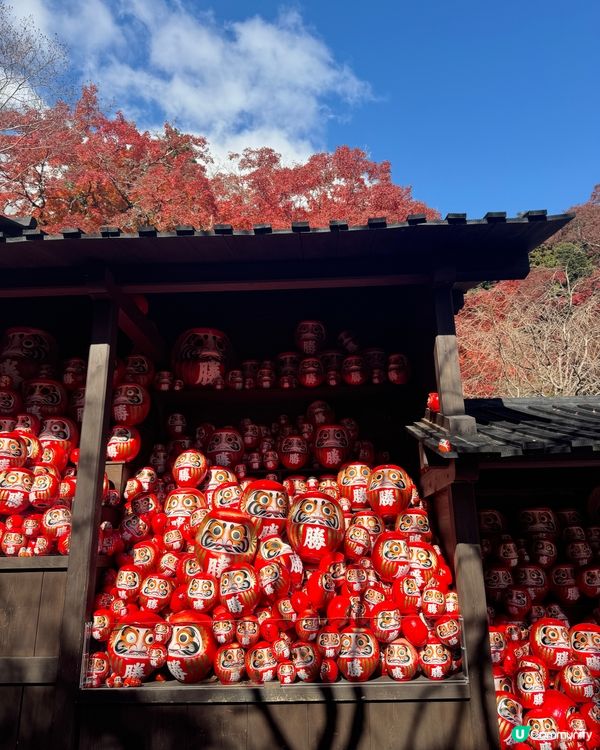 大阪近郊紅葉照點 - 勝尾寺🍁⛩️