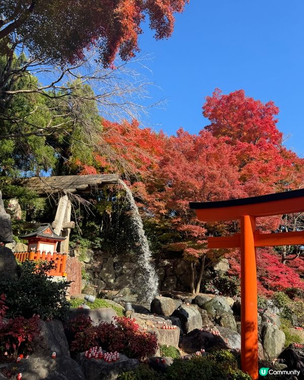 大阪近郊紅葉照點 - 勝尾寺🍁⛩️
