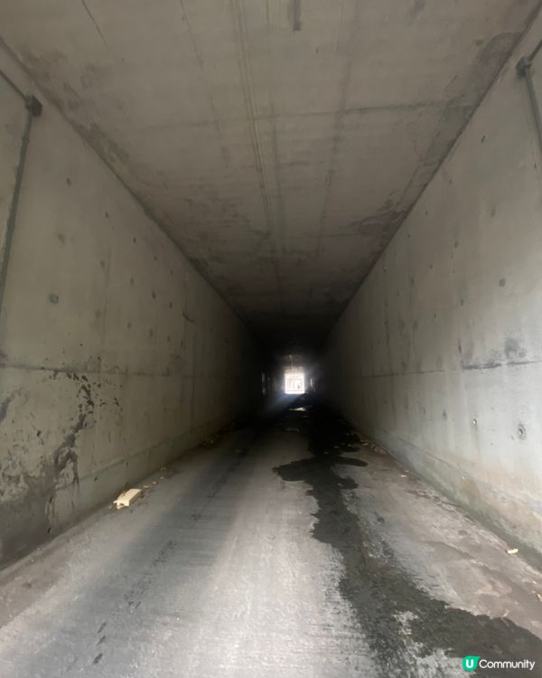 🚇港鐵東涌綫欣澳港鐵站散步🚇