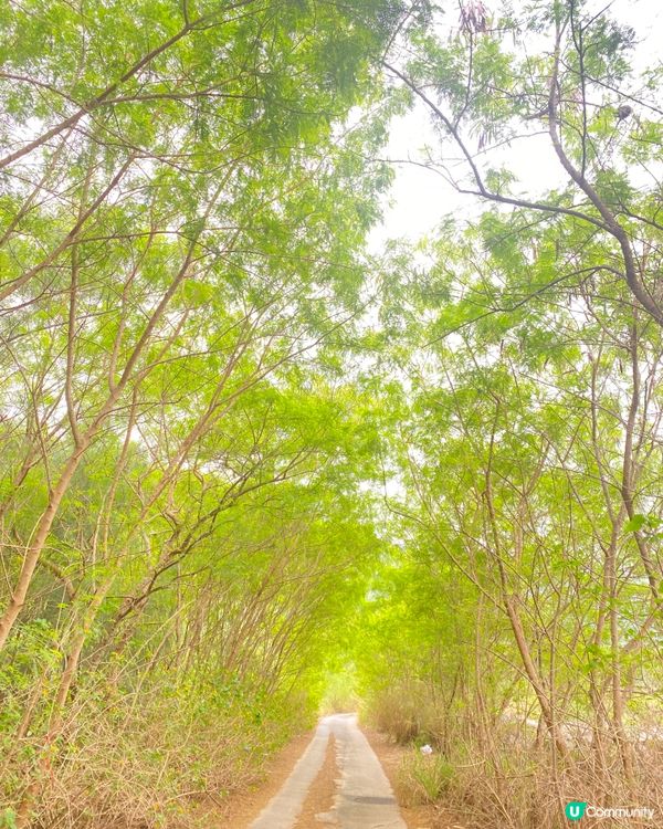 🚇港鐵東涌綫欣澳港鐵站散步🚇