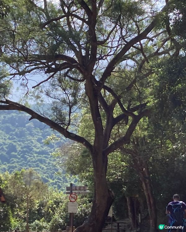 行山好去處 元朗河背水塘