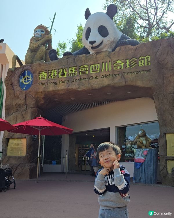 熊貓熊貓我來了‼️