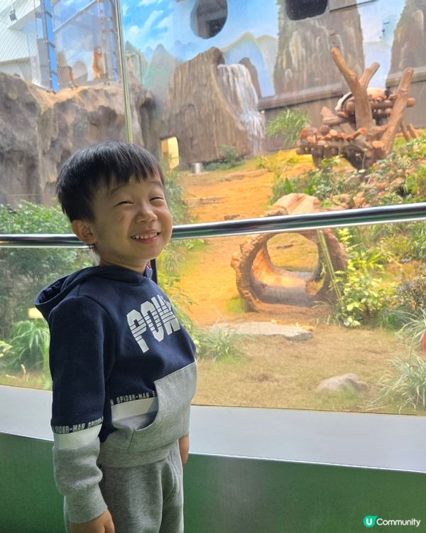 熊貓熊貓我來了‼️