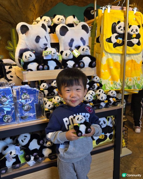 熊貓熊貓我來了‼️