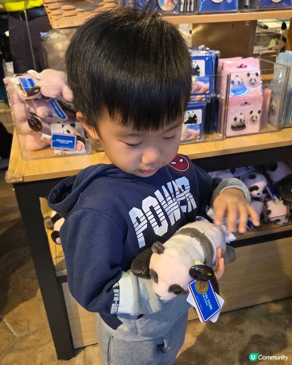 熊貓熊貓我來了‼️